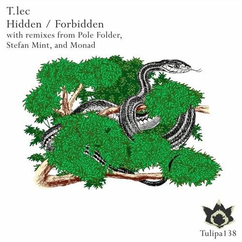 image cover: T.lec, Stefan Mint, Monad, Pole Folder - Hidden / Forbidden / Tulipa Recordings / TULIPA138