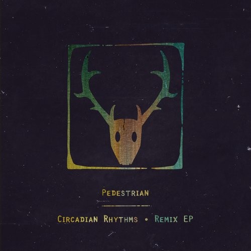 image cover: Pedestrian - Circadian Rhythms Remixes / Dama Dama / DAMA002