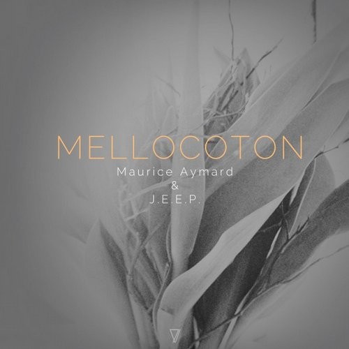 image cover: Maurice Aymard - Mellocoton / Seven Villas / 7V017