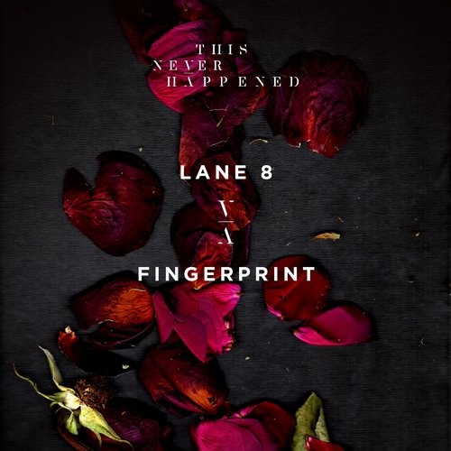 image cover: Lane 8 - Fingerprint / This Never Happened / TNH001