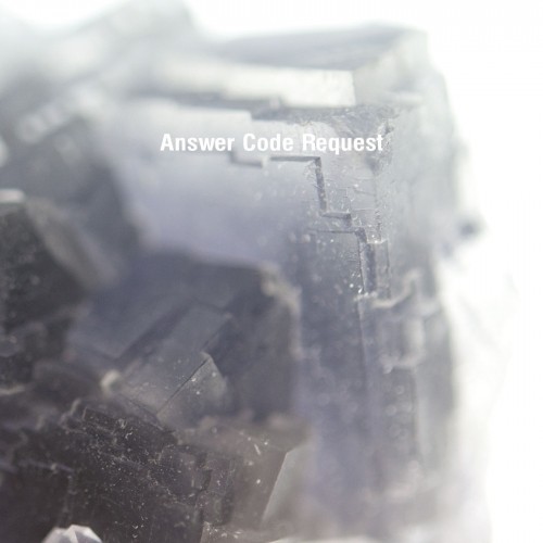 image cover: Answer Code Request - Neume / Ostgut Ton / OTON094D