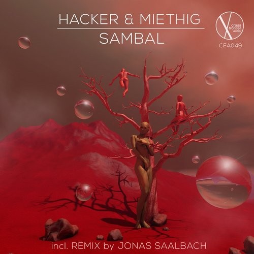 image cover: Hacker & Miethig - Sambal / CFA049