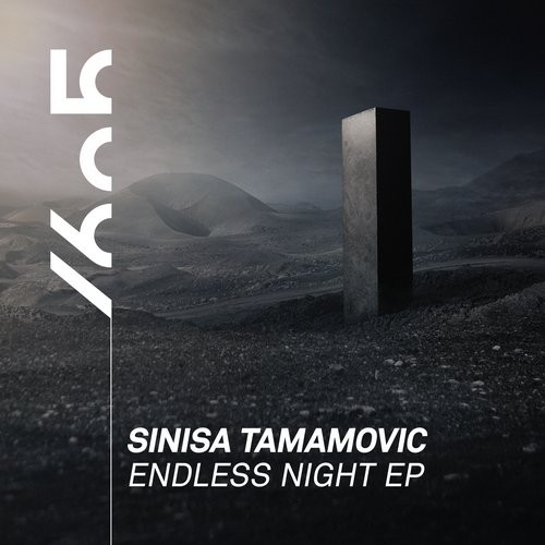 image cover: Sinisa Tamamovic - Endless Night EP / 1605217