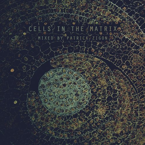 image cover: VA - Cells In The Matrix - Mixed By Patrick Zigon / BIOLAB020