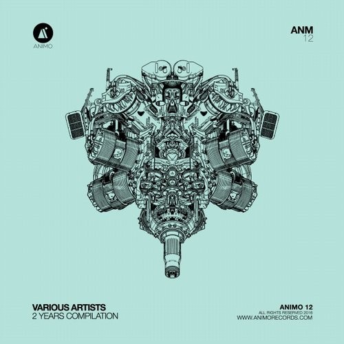 image cover: Various Artists - Animo 2 Years Compilation / ANIMO12