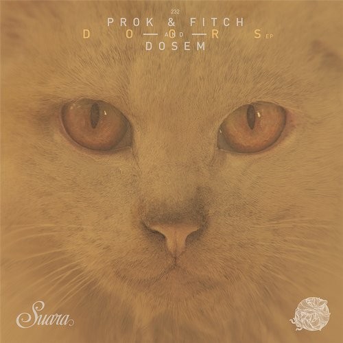 image cover: Dosem, Prok & Fitch - Doors EP / SUARA232