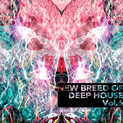 image cover: VA - New Breed of Deep House Vol. 6 / KSD328