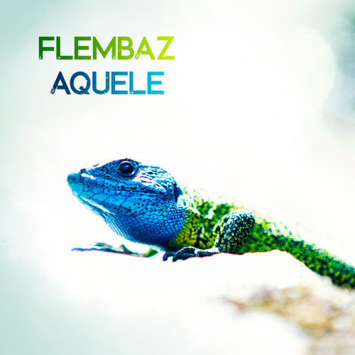 image cover: Flembaz - Aquele / TGNR016