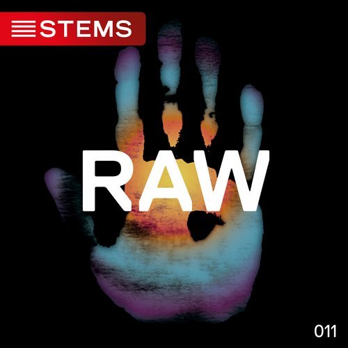 image cover: STEMS: Rob Hes - RAW 011 / KDRAW011STEMS