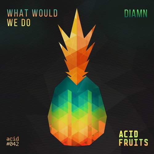 image cover: Diamn - What Would We Do / ACID042