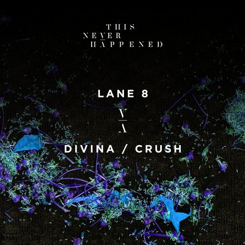 image cover: Lane 8 - Divina / Crush / TNH002