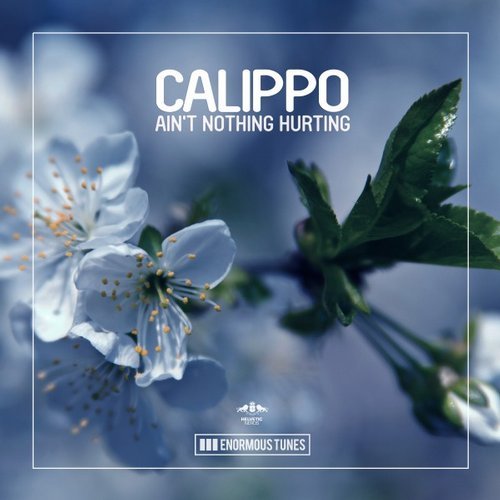 image cover: Calippo - Ain't Nothing Hurting / ETR331