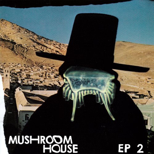 image cover: Mushroom House EP2 / Toy Tonics / TOYT054