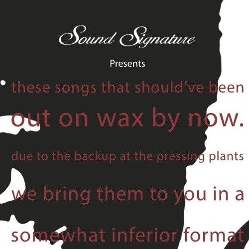 image cover: Sound Signature Presents: These Songs That Should've Been Out On Wax By Now - Part Two / SSCD10