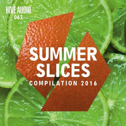 image cover: VA - Summer Slices 2016 / HA062