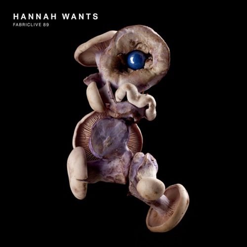 image cover: VA - FabricLive 89 - Hannah Wants / Fabric