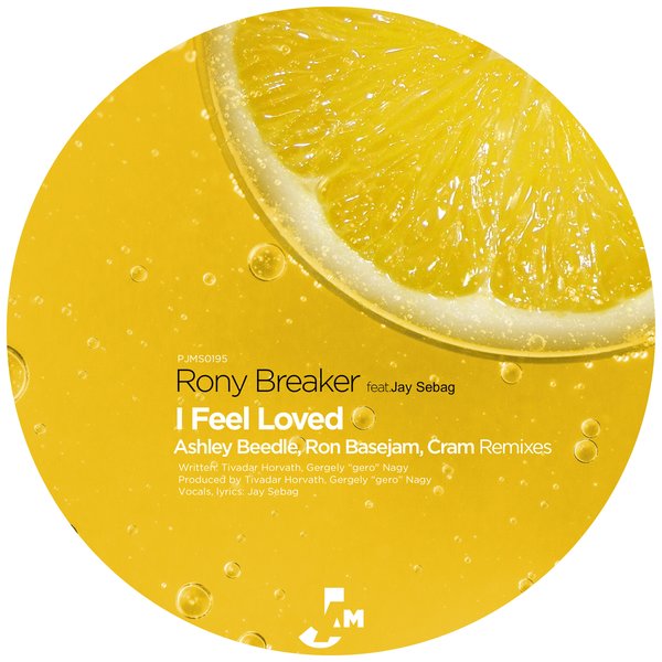 image cover: Rony Breaker - I Feel Loved / PJMS0195
