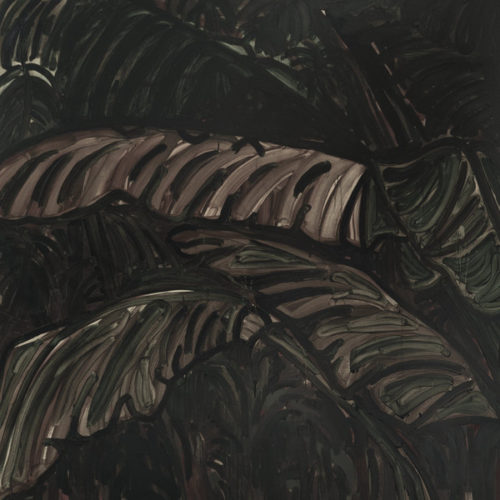 Acronym – Entagled In Vines / SEMANTICA77