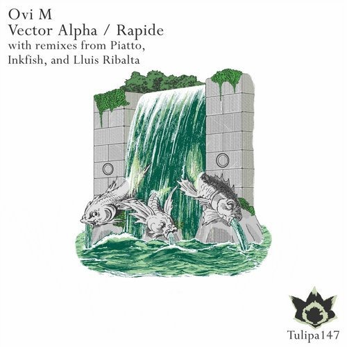 image cover: Ovi M - Vector Alpha / Rapide / Tulipa Recordings