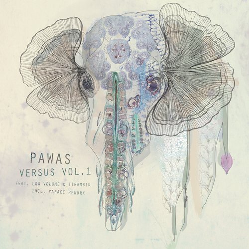 image cover: Pawas - Versus Vol. 1 feat. Low Volume & Tirambik / Biotop