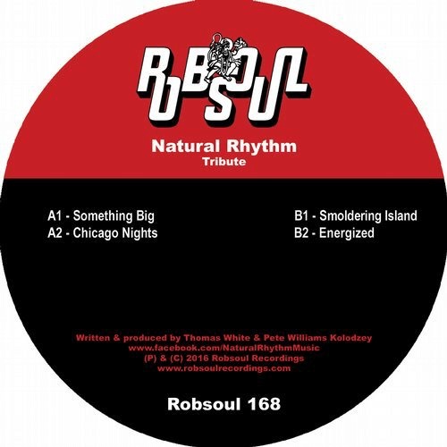 image cover: Natural Rhythm - Tribute / Robsoul Recordings