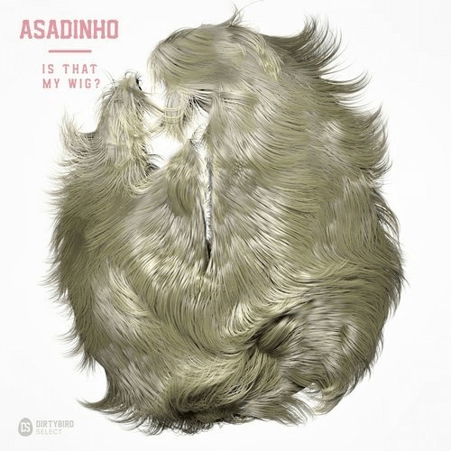 image cover: Asadinho - Is That My Wig / DIRTYBIRD Select