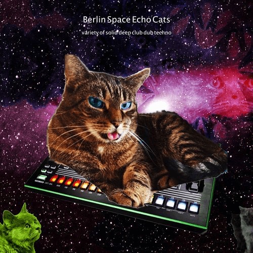 image cover: Berlin Space Echo Cats (Variety of Solid Deep Dub Techno) / Supergroove Records