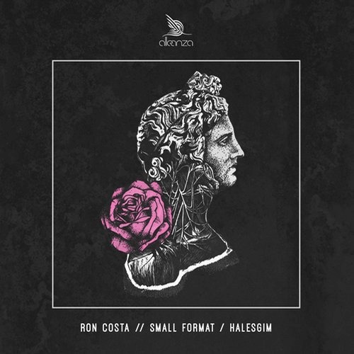 image cover: Ron Costa - Small Format / Halesgim / Alleanza