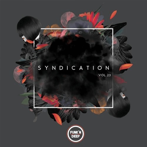 image cover: Syndication, Vol. 23 / Funk'n Deep Records