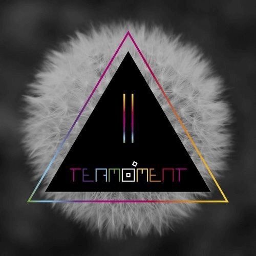 image cover: Termoment - II / Systematic Recordings