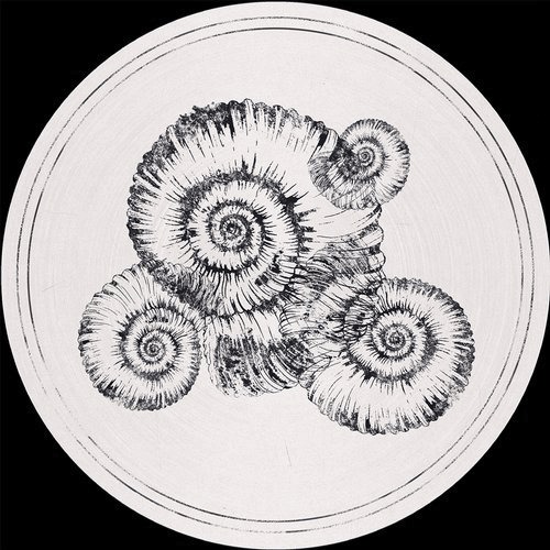 image cover: Roberto - Perisphinctes Tiziani Remixes / Fossil Archive