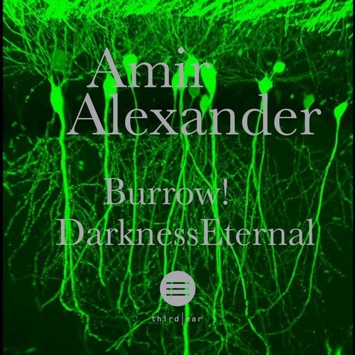 image cover: Amir Alexander - Burrow / Darkness Eternal / Third Ear Recordings