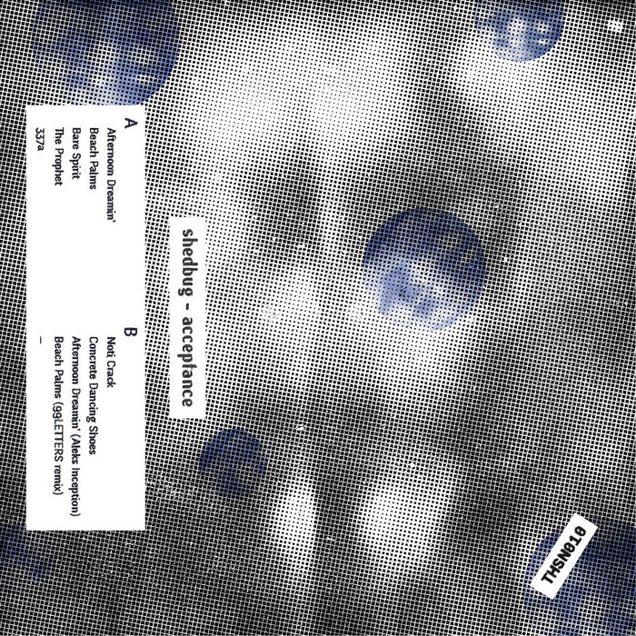 image cover: Shedbug - Acceptance / THRHNDRDSVNTNN