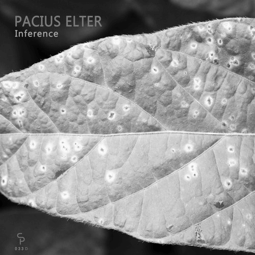 image cover: Pacius Elter - Inference / Counter Pulse