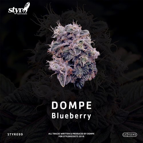 image cover: Dompe - Blueberry / Style Rockets