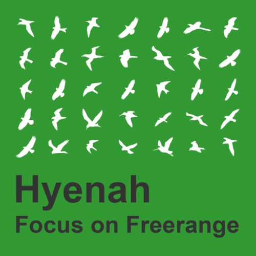image cover: VA - Focus On Freerange: Hyenah / Freerange Records