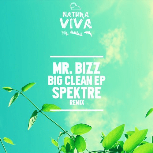 image cover: Mr. Bizz - Big Clean Ep / Natura Viva