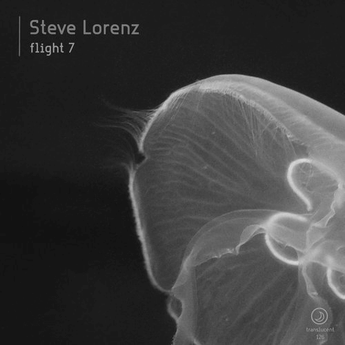 image cover: Steve Lorenz - Flight 7 / Translucent