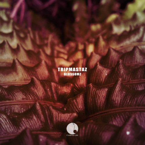 image cover: Tripmastaz - Blossomz / Cadenza Lab