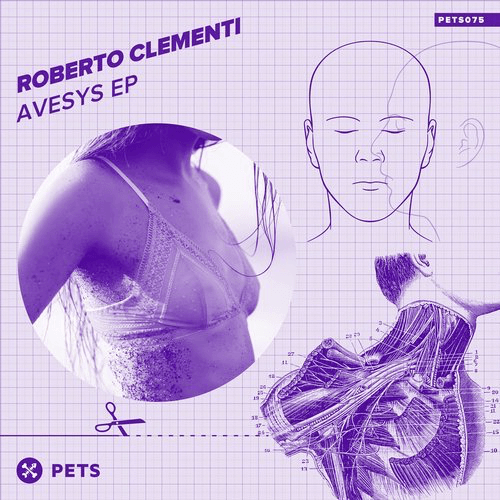 image cover: Roberto Clementi - Avesys / Pets Recordings
