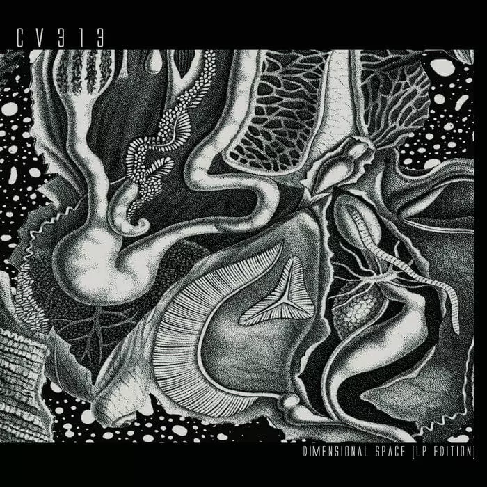 image cover: cv313 - Dimensional Space [Alchemy CD Edition] UNRELEASED / echospace [detroit]