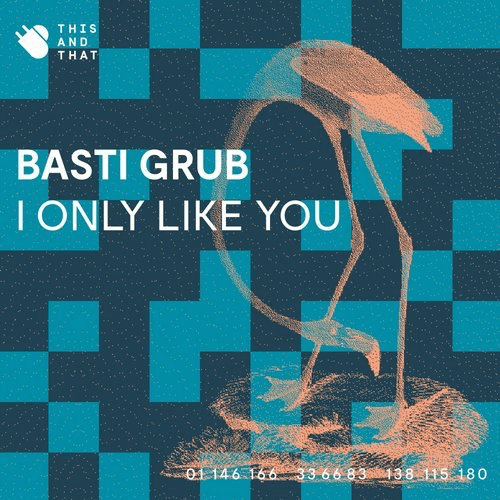 image cover: Basti Grub - I Only Like You / This And That