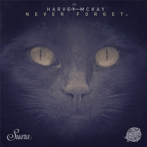 image cover: Harvey McKay - Never Forget EP / Suara
