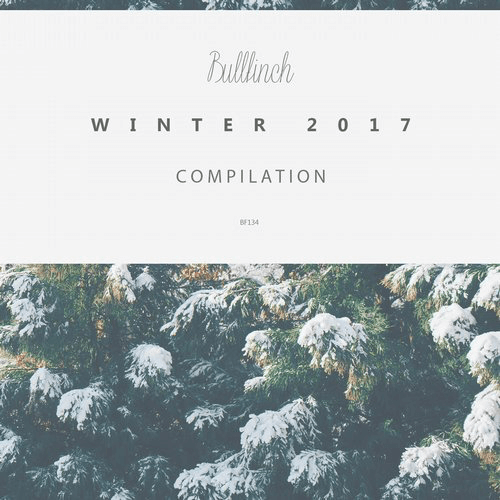 image cover: Bullfinch Winter Compilation 2017 / Bullfinch