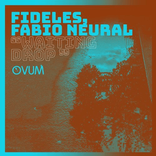 image cover: Fideles, Fabio Neural - Waiting Drop / Ovum Recordings