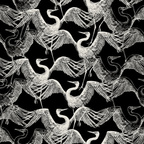 image cover: Birds of Mind - Ankara / Echolette Records