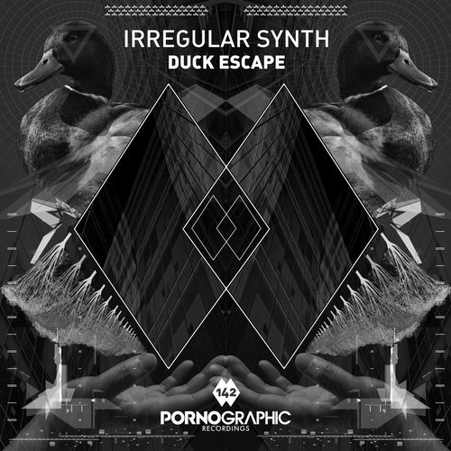 image cover: Irregular Synth - Duck Escape / Pornographic Recordings