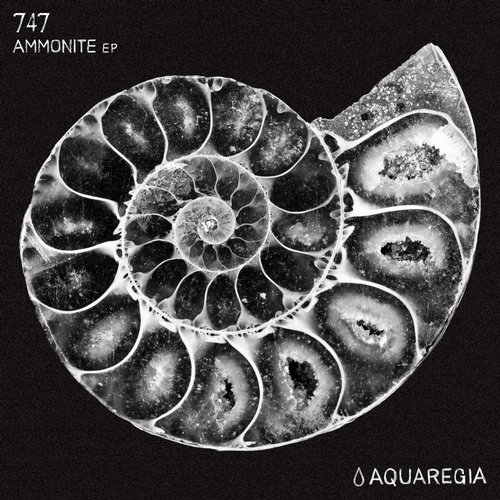 image cover: 747 - Ammonite EP / Aquaregia