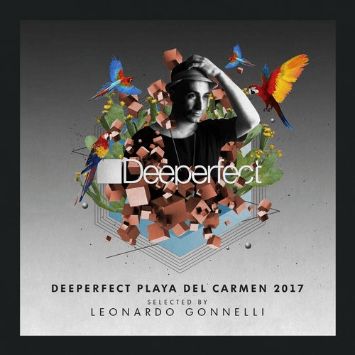 image cover: Deeperfect Playa Del Carmen 2017 Selected By Leonardo Gonnelli / Deeperfect Records