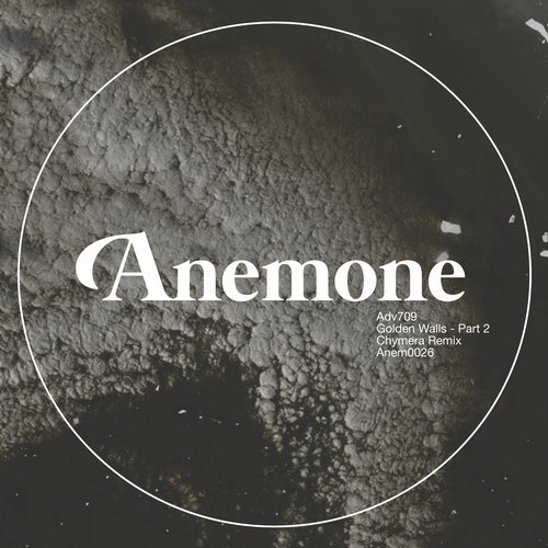 image cover: Adv709 - Golden Walls Part 2 / Anemone Recordings